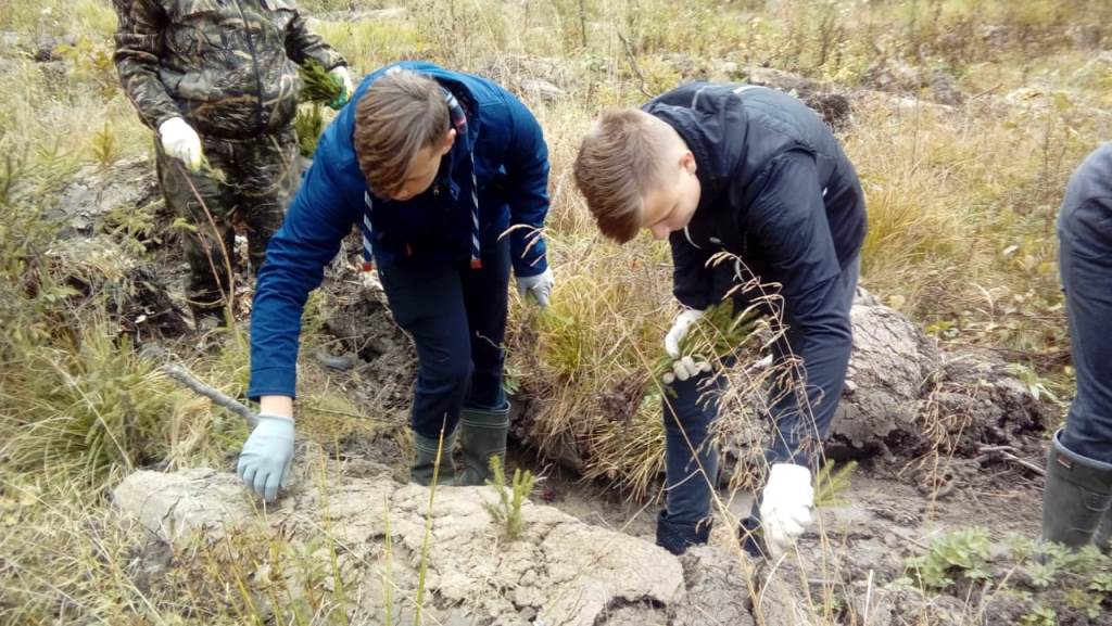 В Ярославском регионе завершилась всероссийская экологическая акция «Живи, лес!»