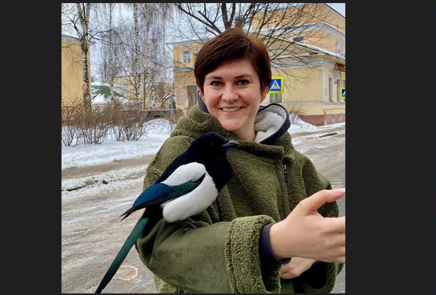 Похоже домашняя: ярославцы рассказали о том, как встретили в городе смелую сороку