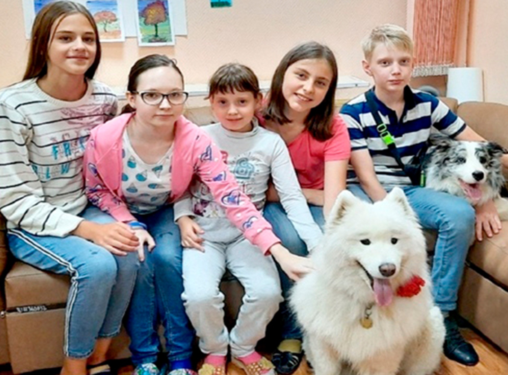 В Ярославле детям помогли собаки-терапевты