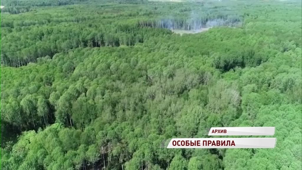 В Ярославской области объявлен пожароопасный период