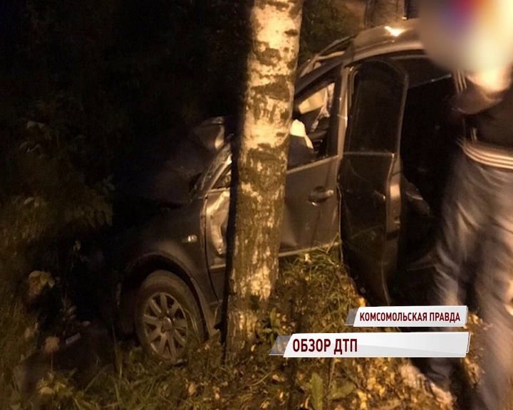 Заволгой виновник ДТП попытался скрыться и влетел в дерево