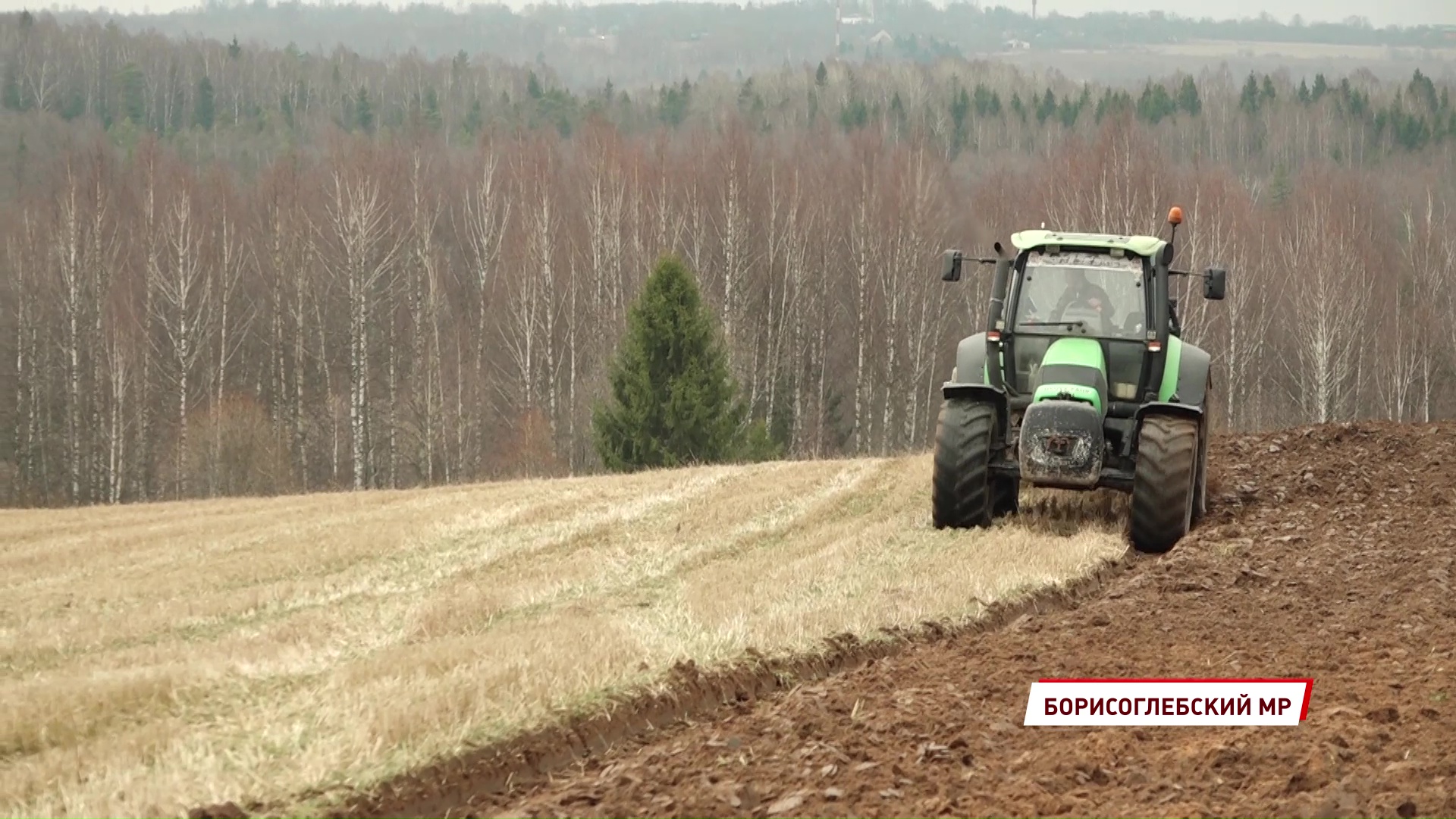 Природные аномалии вносят коррективы в график посевных работ в Ярославской области