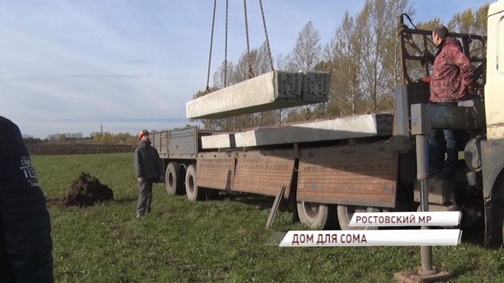 В Ростовском районе будут выращивать сома, начинается строительство производственного комплекса