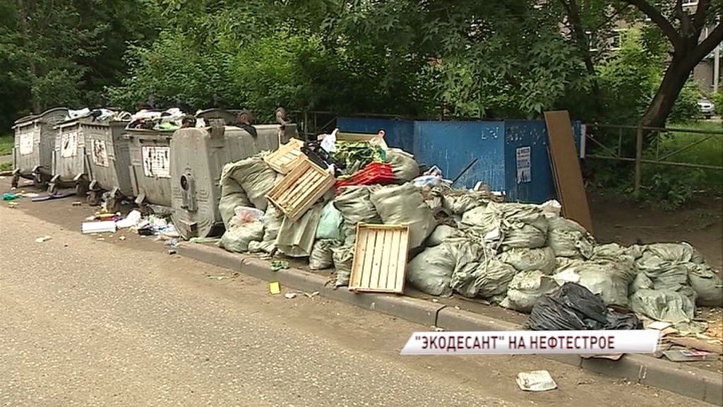 «Экодесант» ликвидировал стихийную свалку в Больших Полянках