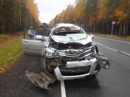 В Рыбинском районе под колеса автомобиля попал лось