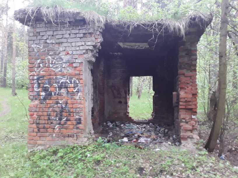Прокуратура Ярославля требует провести уборку в Тверицком бору