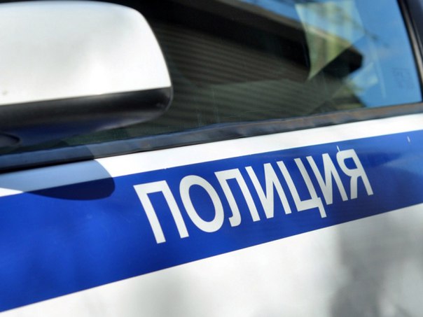 В Данилове полицейский застрелил бешеную лисицу