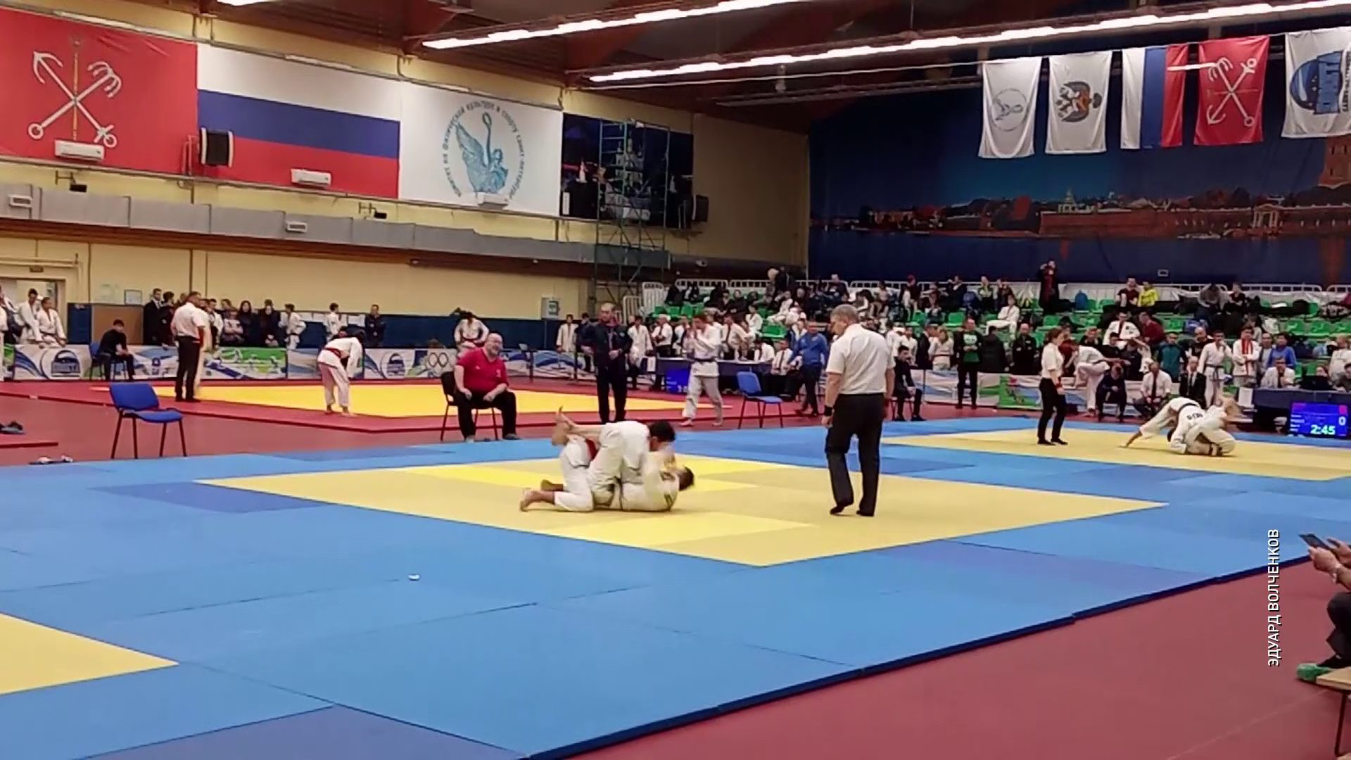 Ярославские спортсмены привезли россыпь медалей с первенства России по джиу-джитсу