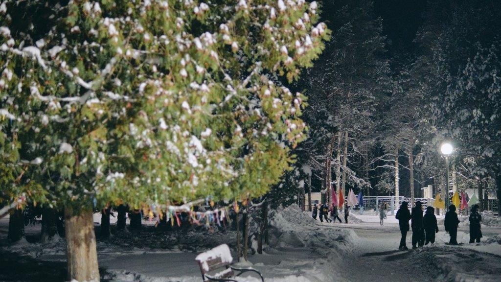 Школьникам из Ярославля могут продлить каникулы из-за аномального похолодания