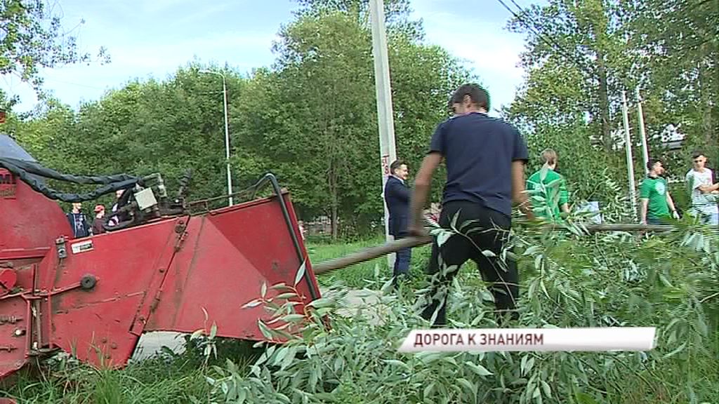 «Экодесант» навел порядок на опасной дороге к школе в Дзержинском районе