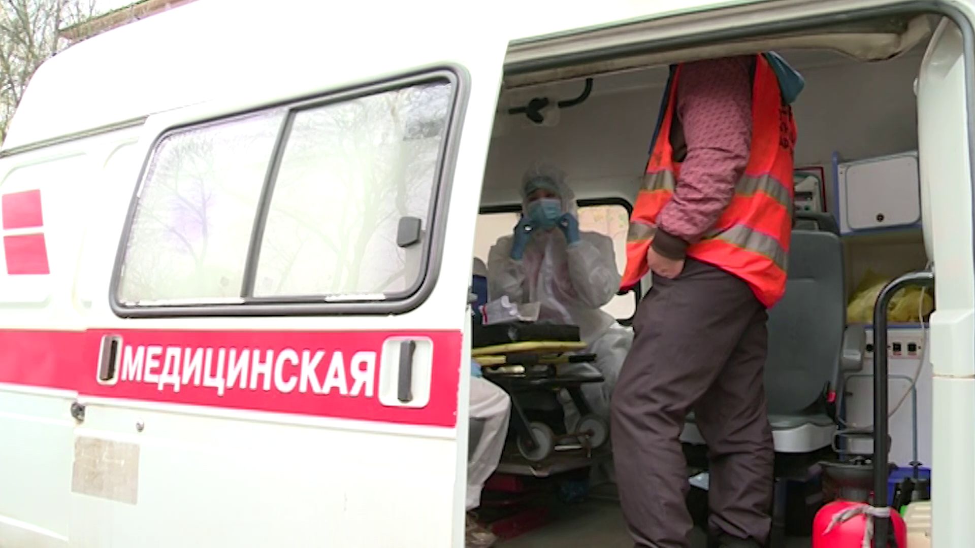 В Ярославле сделали прививки бездомным