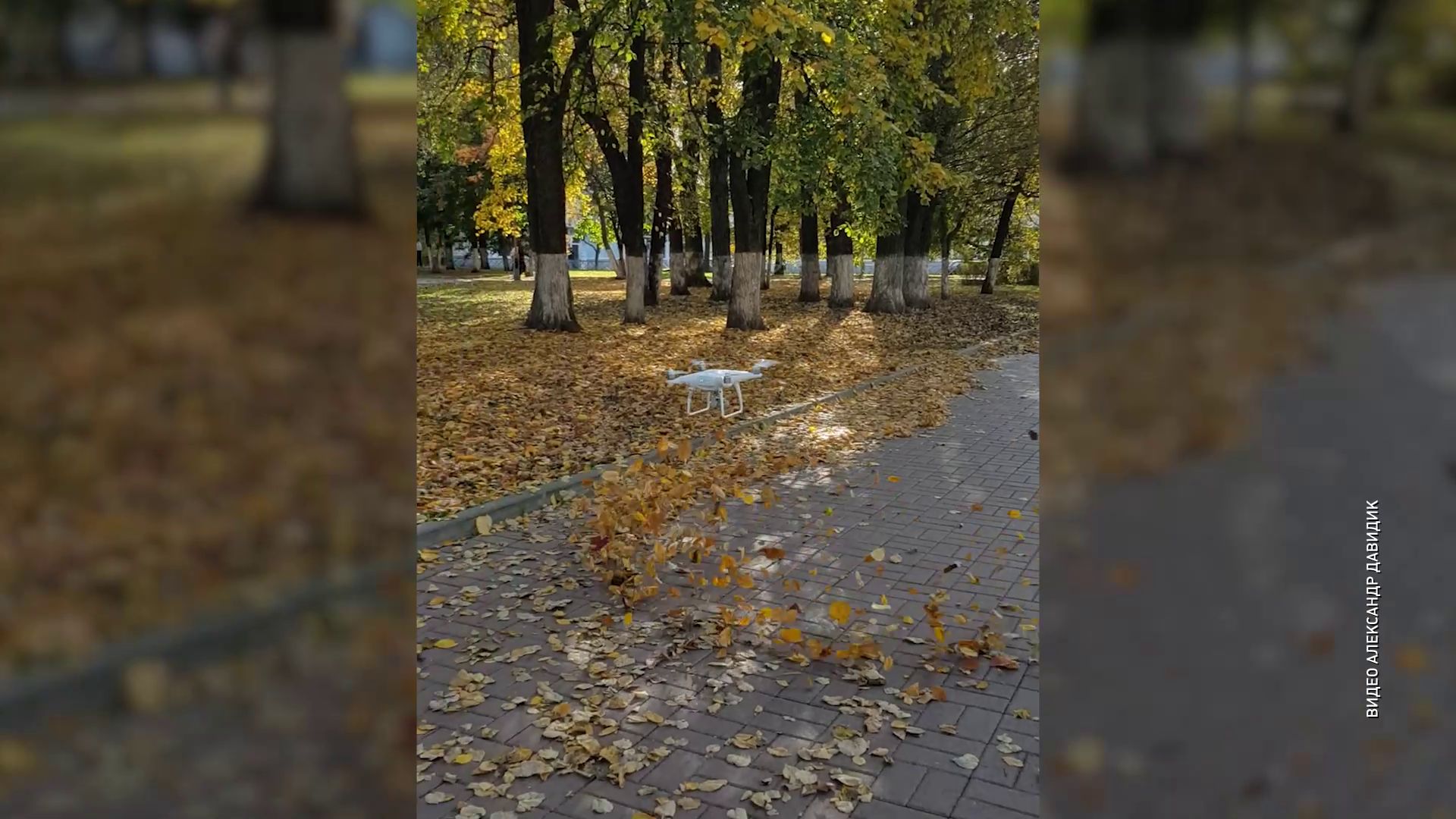 В Ярославле квадрокоптер убирает листья
