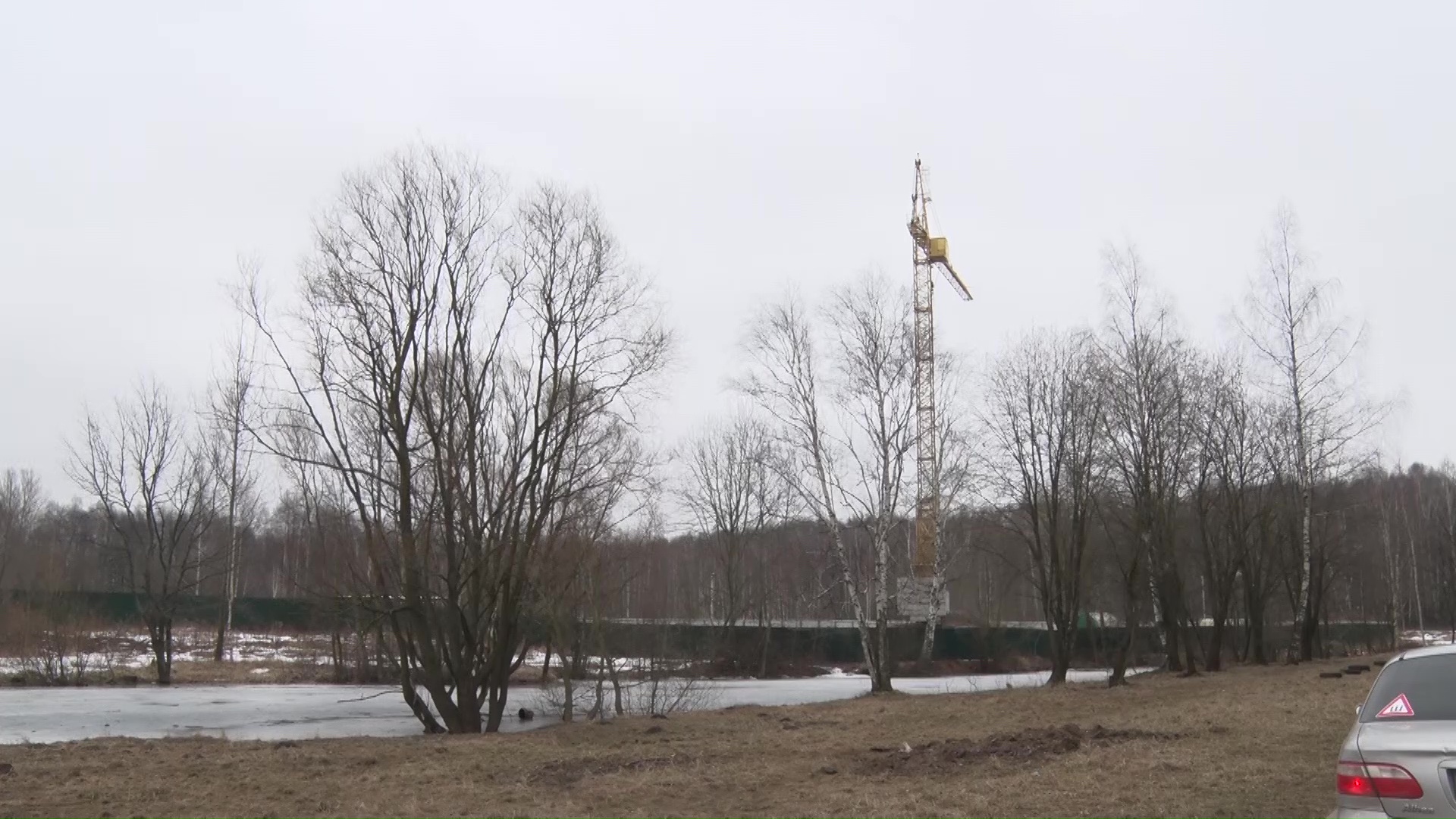 Строительство дома в Павловской роще не задевает природоохранную зону