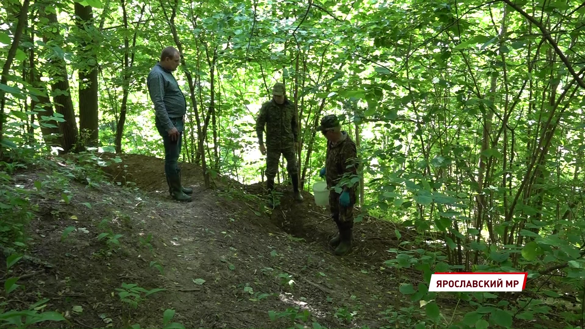 В лесах региона диких животных подкармливают лакомствами с вакциной от бешенства