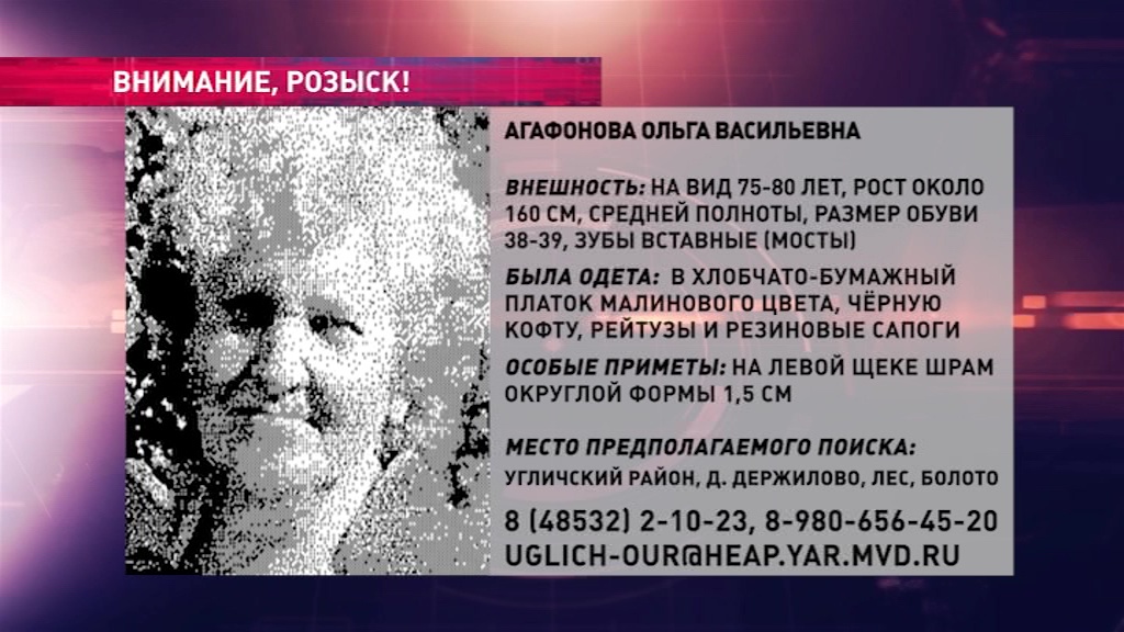 В лесах Угличского района ищут пенсионерку