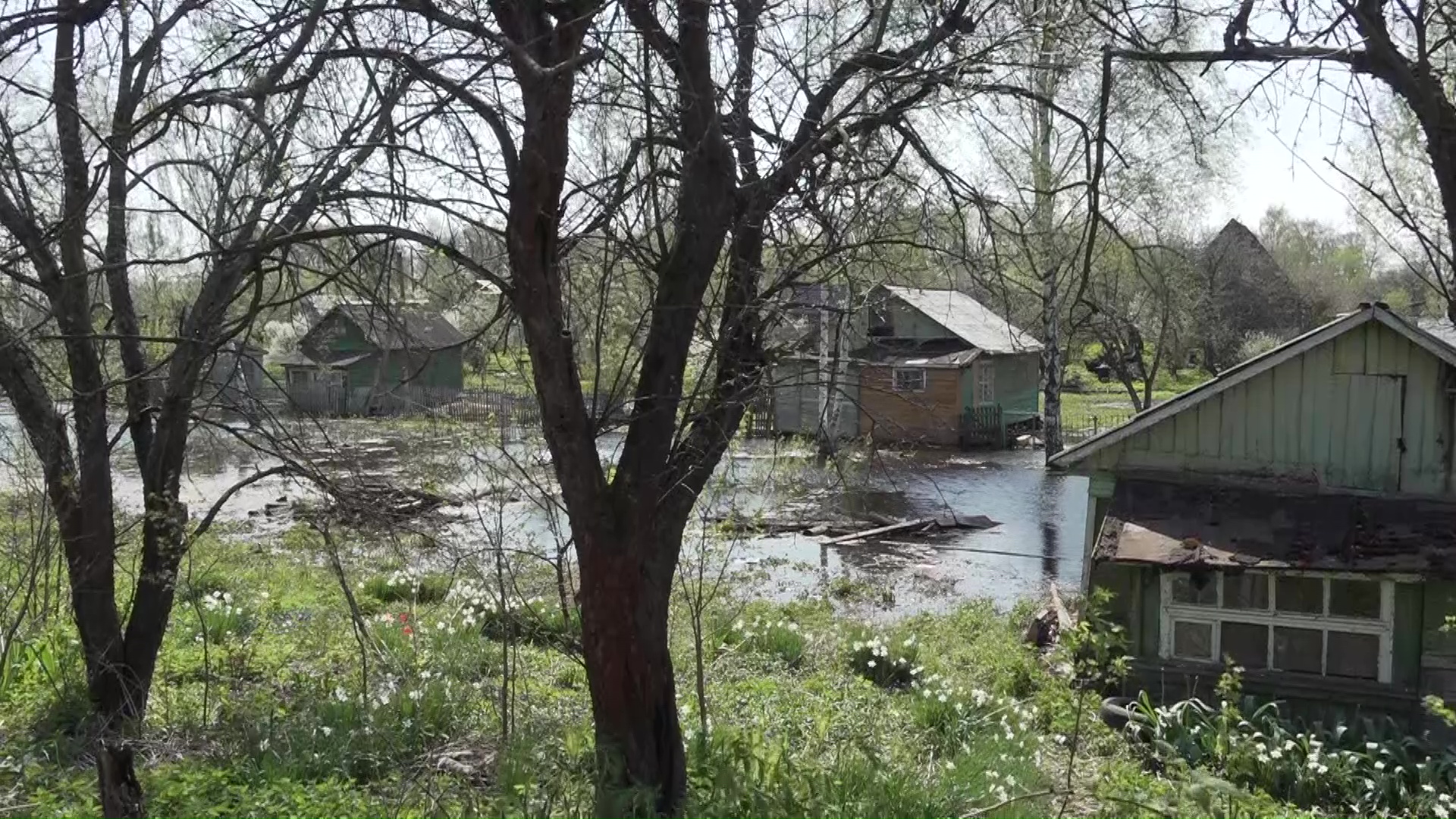 В Рыбинске и Ярославле затопило берега Волги: что произошло и как решили проблему