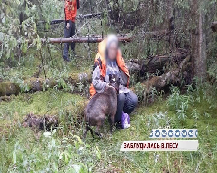 Пенсионерка заблудилась в Ярославском районе и всю ночь провела в лесу