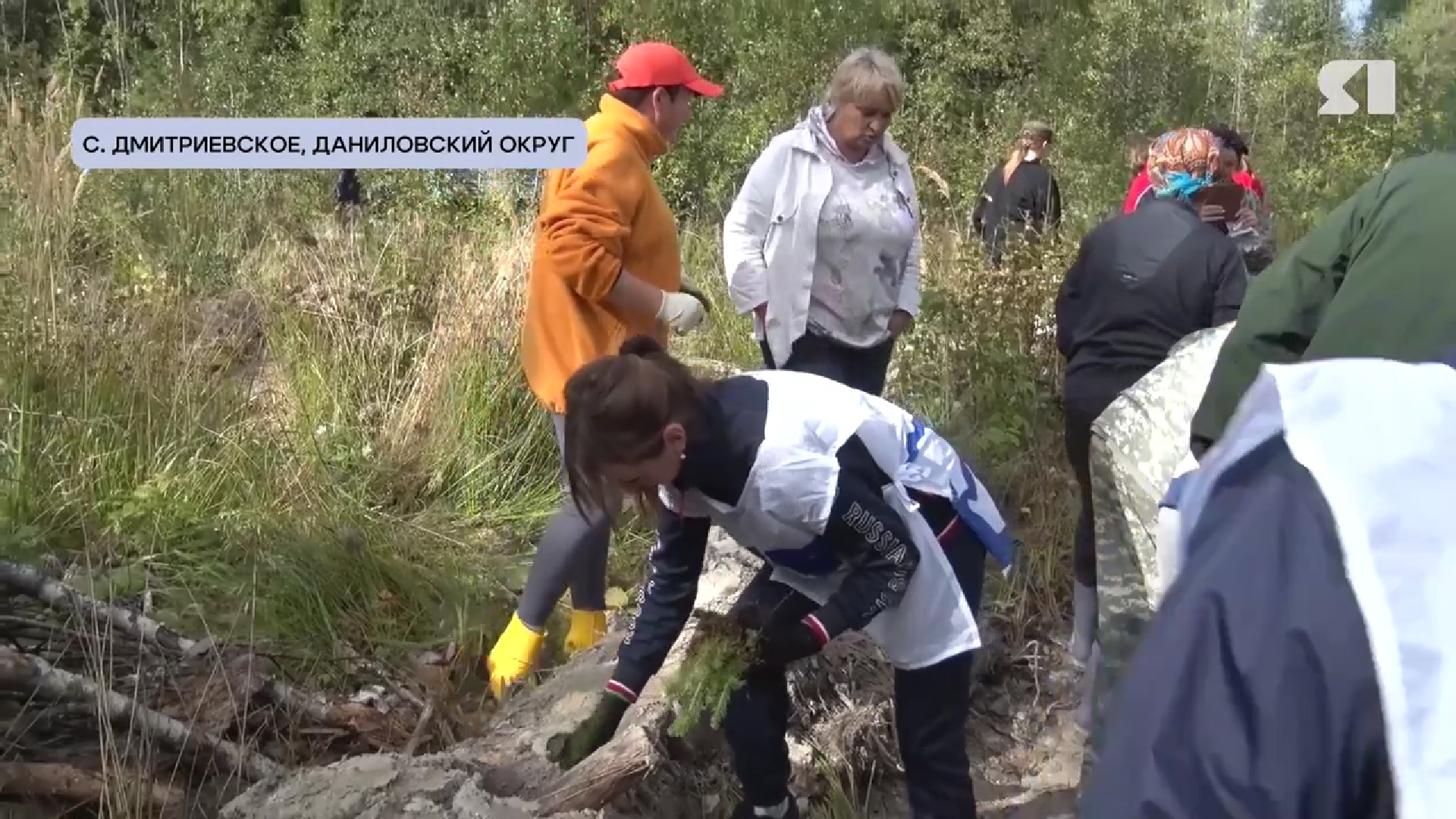 «Местный формат»: около сотни активистов высадили более 12 тысяч елок для восстановления леса