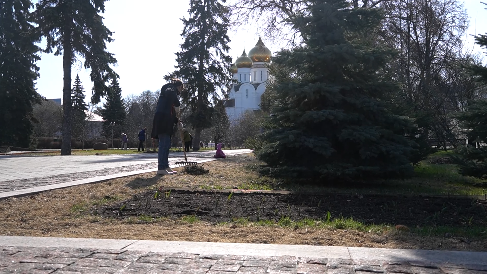 Специалисты «Горзеленхозстроя» начали высаживать цветы в преддверии Дня Победы