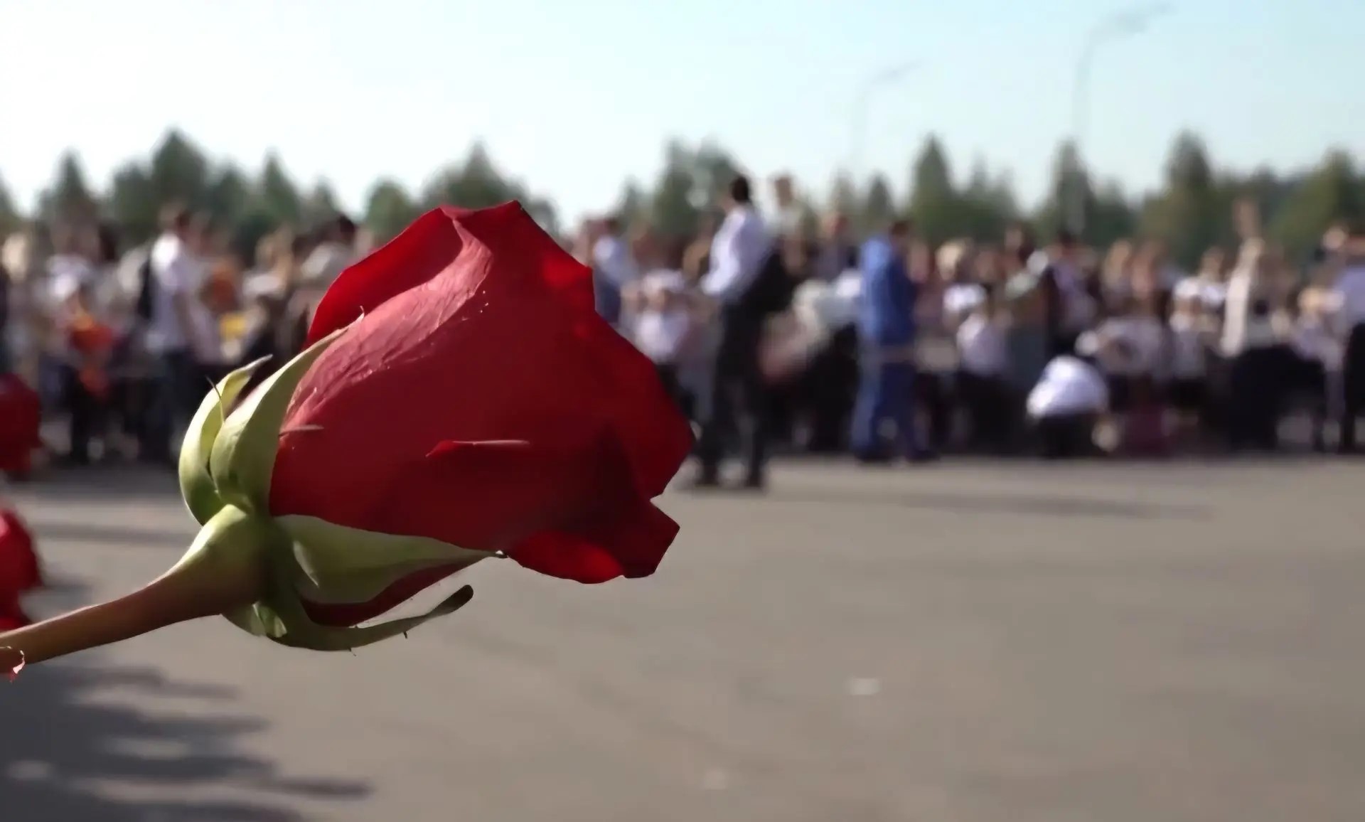 Каждый третий родитель в России планирует взять выходной в День знаний