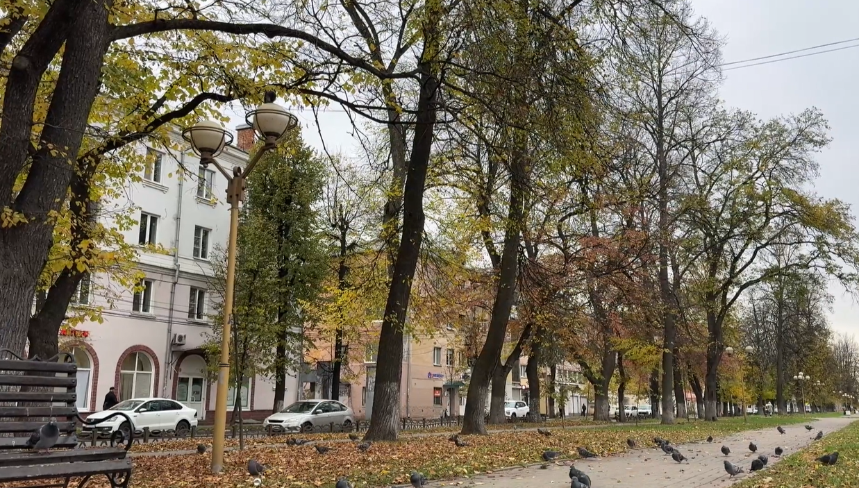 Синоптик Ксения Голова рассказала о погоде в Ярославской области на 24 и 25 октября