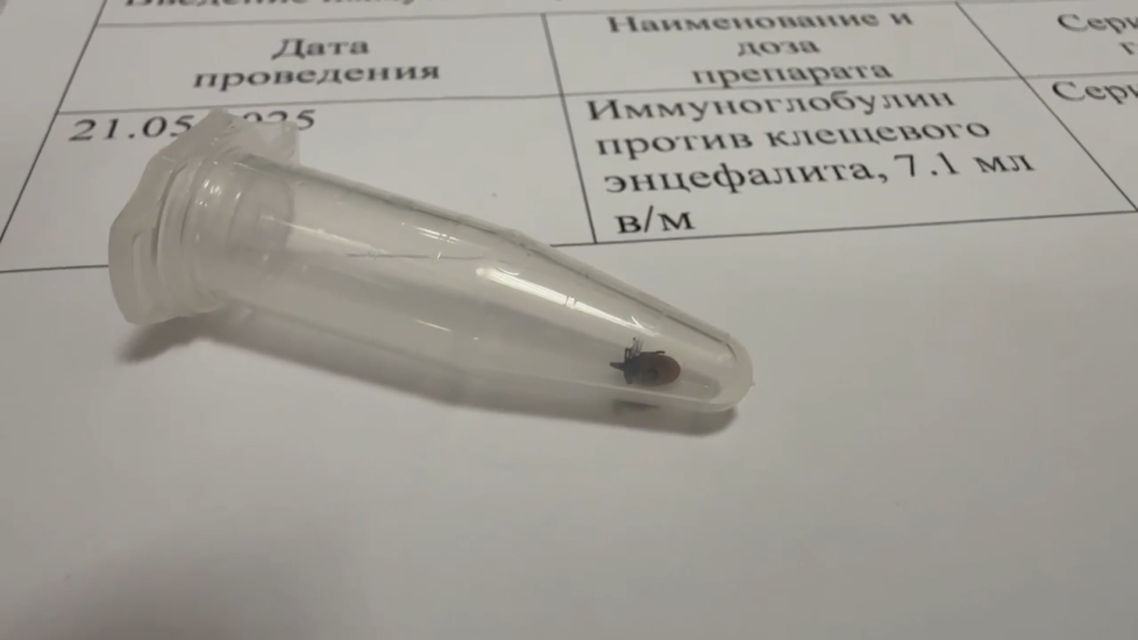 Корреспондент ЯПервого посетила один из пунктов приема клещей