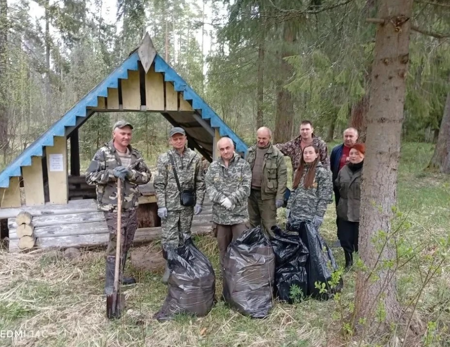 В Ярославской области ликвидировали 15 крупных свалок в рамках акции «Очистим лес от мусора»