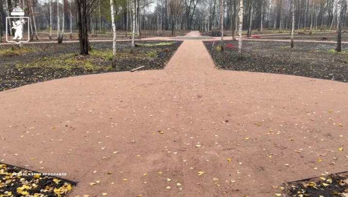  В Петропавловском парке Ярославля появятся современные пешеходные дорожки