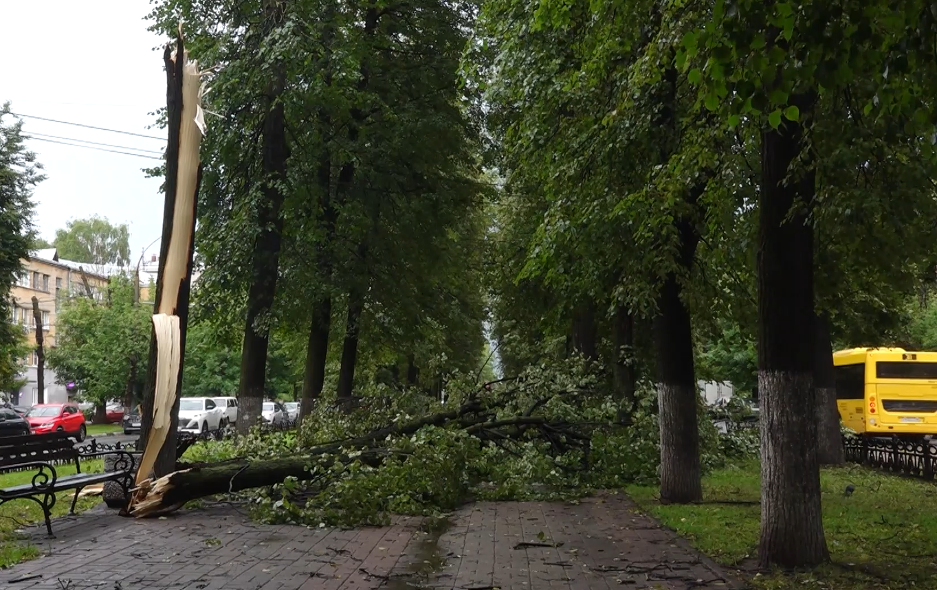 На Ярославскую область надвигаются гроза и порывы ветра до 15 метров в секунду