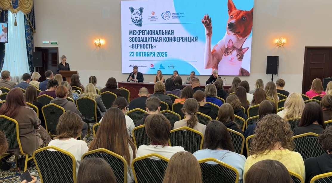 Межрегиональная зоозащитная конференция «Верность» стартовала в Ярославле