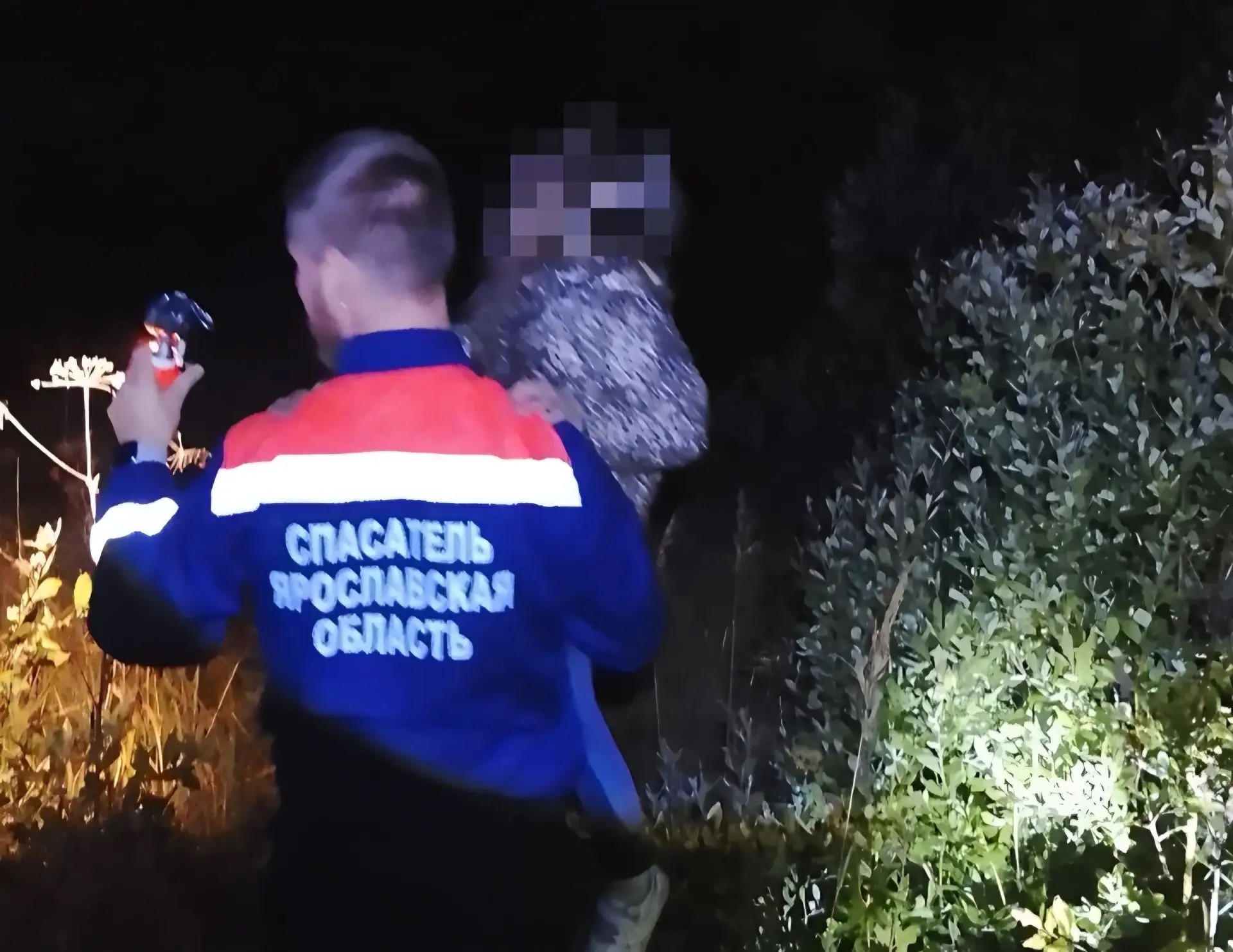 В районе Ростова Великого спасатели нашли заблудившихся папу с ребенком